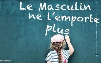 La féminisation des métiers à l&rsquo;université et au barreau de Nantes: Même combat ?