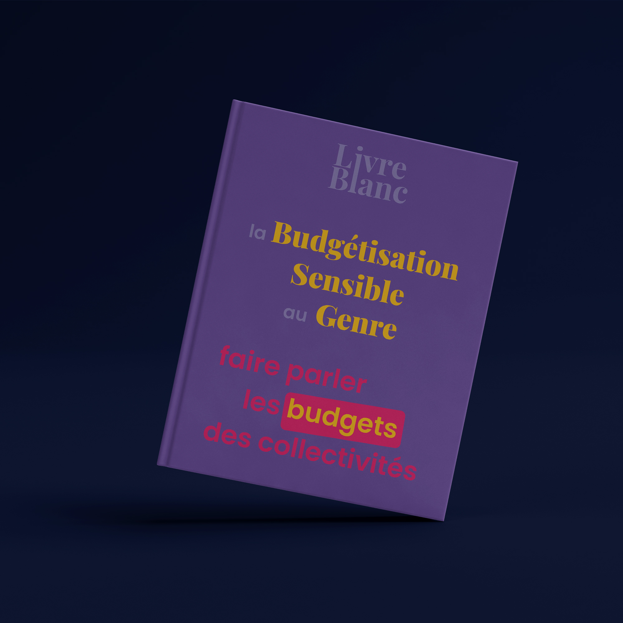 Page de garde d'un livre dont le titre est budgetisation sensible au genre faire parler les budgets des collectivités